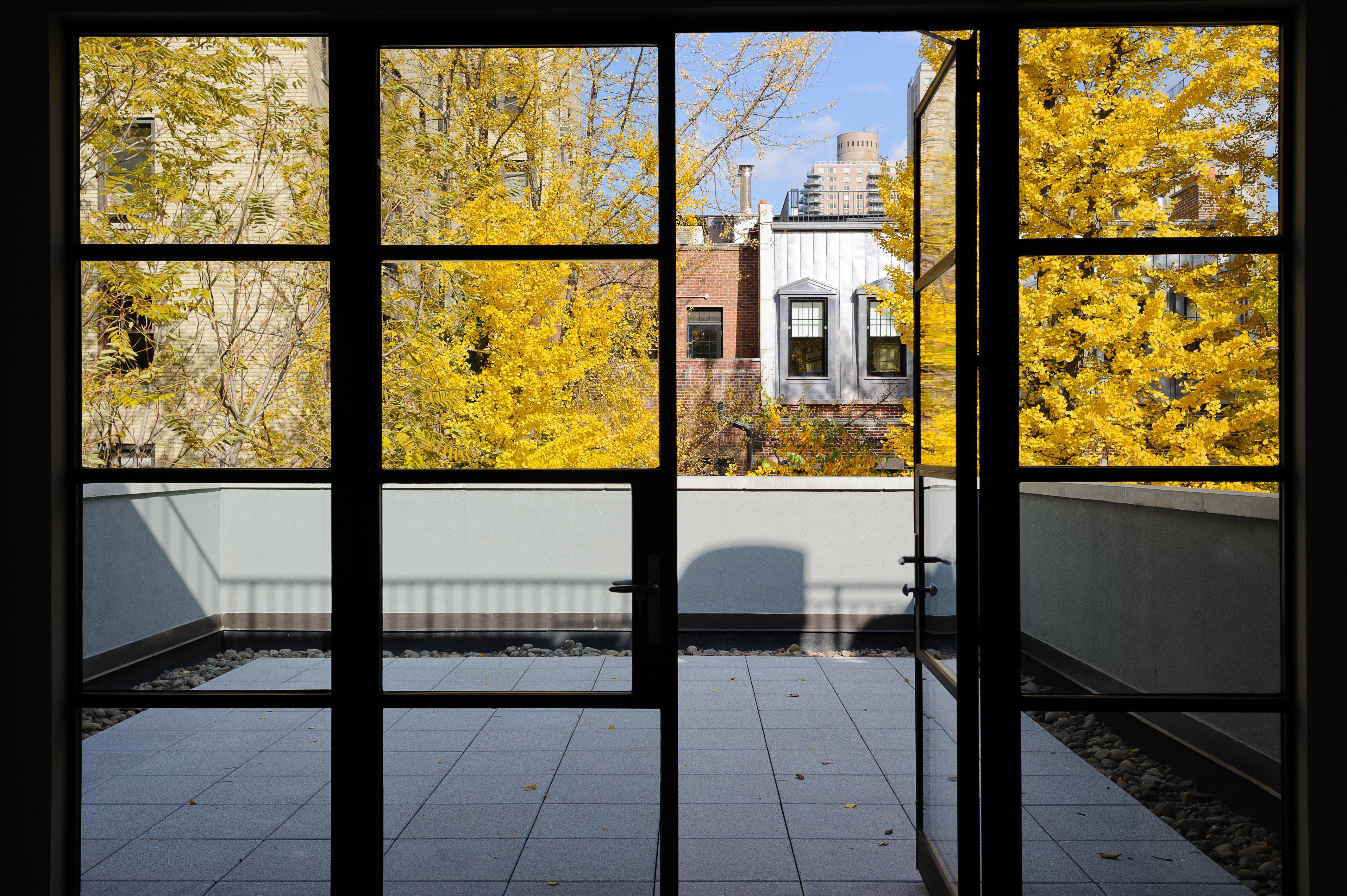 Go to Daniel Frisch Architecture