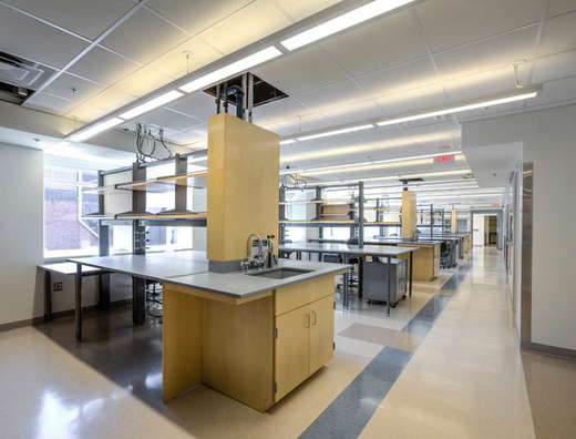 Rheumatology Laboratory