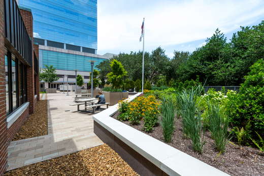 Medical Center Plaza Renovation
