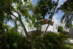 © estudio AM arquitectos