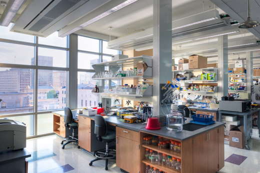 VCU, Molecular Medicine Research Building